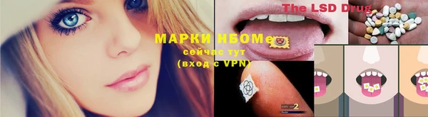 трава Надым