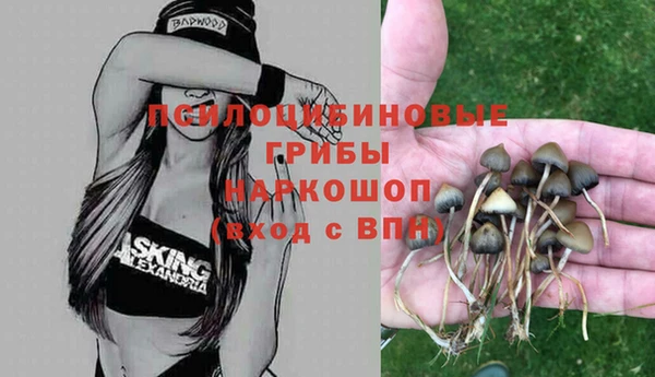 трава Надым
