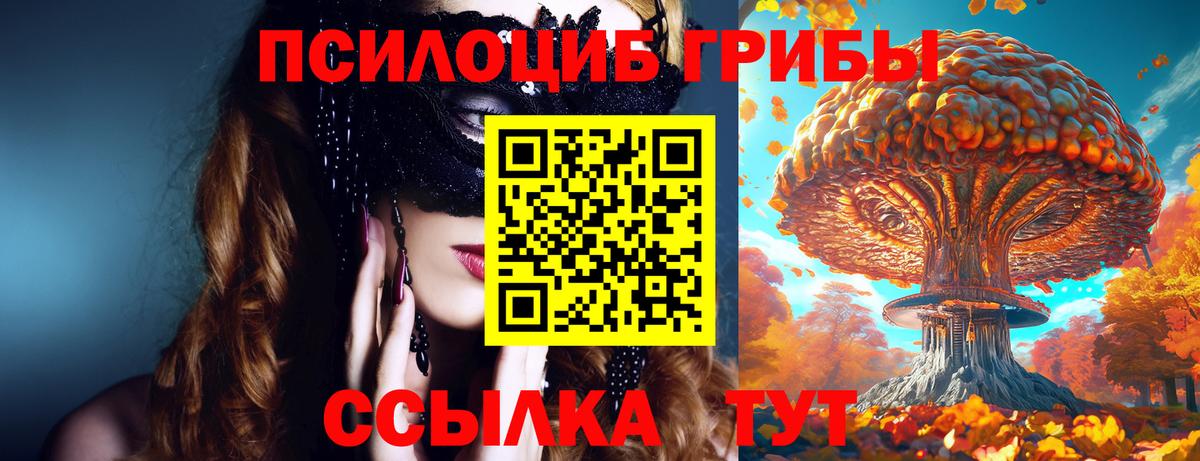 Норильск  Галлюциногенные грибы мухоморы  Вход с VPN 