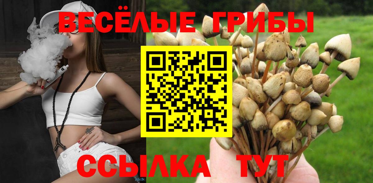 Галлюциногенные грибы Psilocybine cubensis Норильск